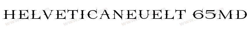 helveticaneuelt 65md字体转换